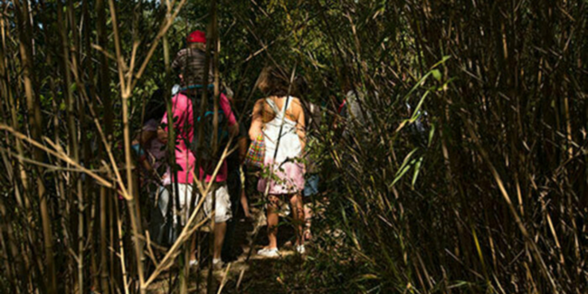 Visite du sentier oublié aux Jardins du Muséum à Borderouge