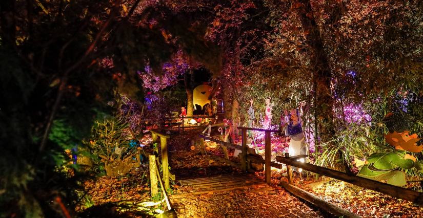 Illuminations de Noël - Forêt Enchantée de Mauressac à voir en famille 