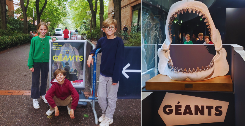 On a testé l’exposition GÉANTS au Muséum de Toulouse : une aventure colossale pour toute la famille