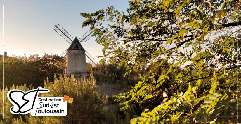 Le top des activités à faire cet automne en Sud-Est Toulousain