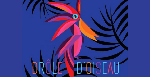 Drôle d'oiseau, une exposition explosive, graphique et colorée à voir en famille dans les bibliothèques de Toulouse kidklik 31