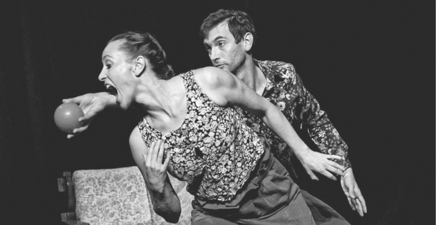 Idylle, un spectacle de cirque proposé par les Centre culturels, à découvrir en famille à Toulouse kidklik 31 noël