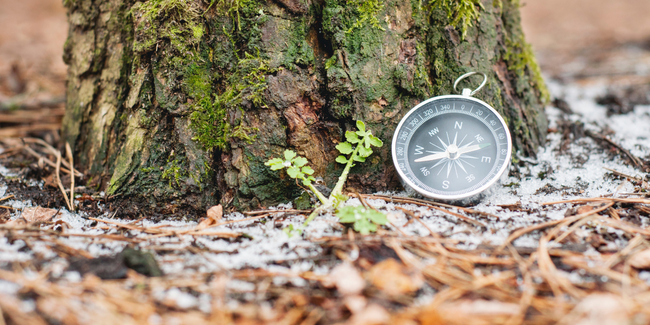 Natura Game : des escape game en forêt à découvrir en famille kidklik 31