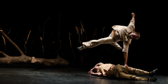 Pour Hêtre, spectacle de cirque acrobatique - Festival Luluberlu