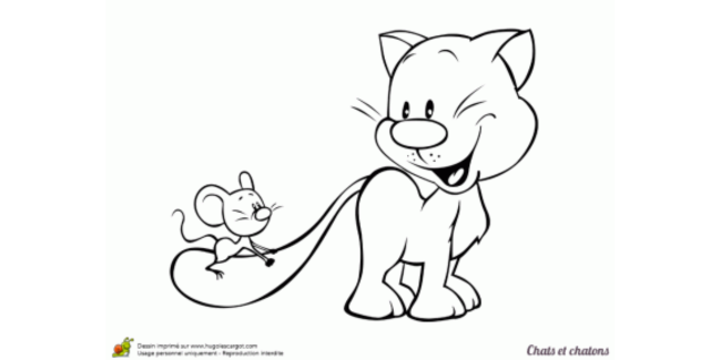 Mais où est passé le chat-moine ? Venez en famille jouer au chat et à la souris dans l’abbaye de Flaran !