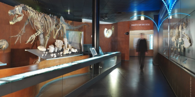 Visite famille « En route pour l’évolution », au Museum de Toulouse