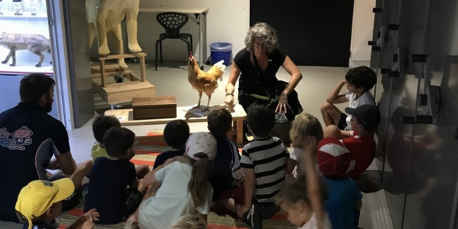 Visite de la réserve pour les tout-petits de 3 à 6 ans au Muséum de Toulouse