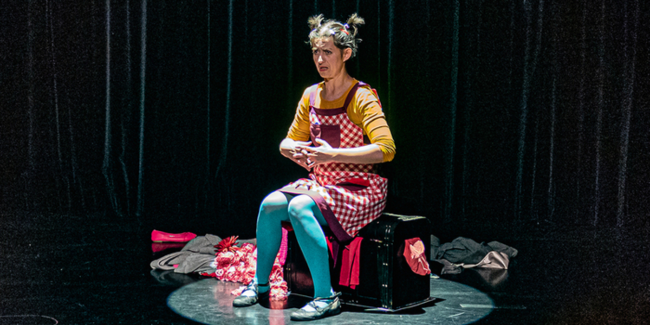 "Et si on rejouait l'histoire ?", spectacle au Muséum de Toulouse