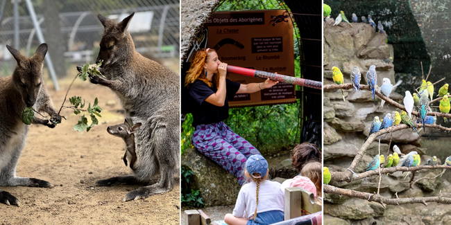 Découvrez le Parc australien pendant les vacances !