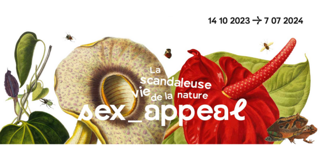 Visite de l'exposition "Sex Appeal" au Muséum de Toulouse