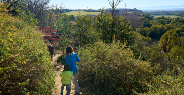 Profitez de l'automne en famille dans le Sud-Est Toulousain 