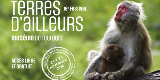 Festival "Terres d'ailleurs", cinéma et ateliers au Muséum de Toulouse