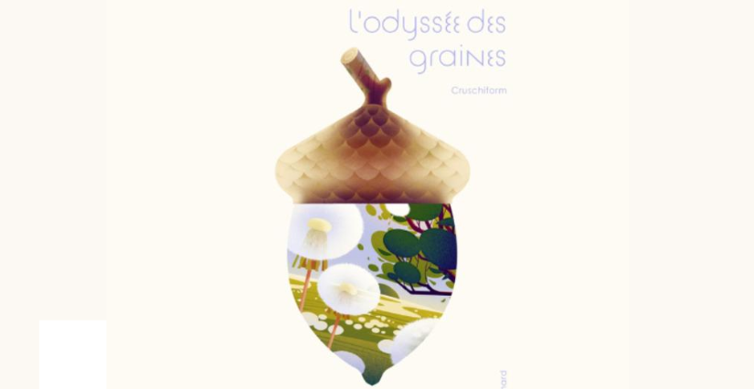 Exposition "L’Odyssée des graines de Cruschiform", au Muséum de Toulouse