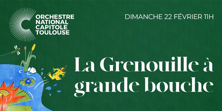 Concert en famille, "La grenouille à grande bouche", à la Halle aux Grains, Toulouse