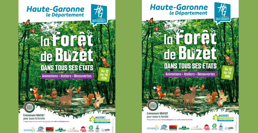 La Forêt de Buzet dans tous ses états