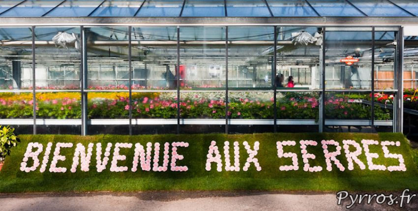 Portes ouvertes aux serres municipales de Toulouse