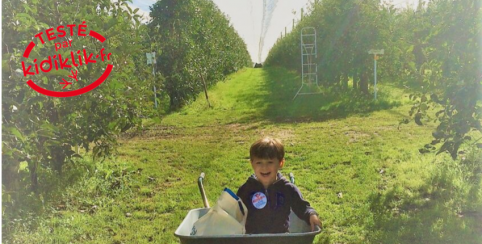 Cueillette de pommes en Famille à 20 mn de Toulouse