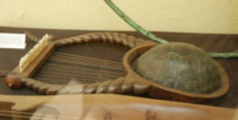 Sur les traces d'une tortue - Visite en famille du Musée Saint Raymond, dès 4 ans