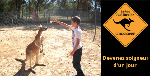 Deviens soigneur d'un jour au Parc Australien