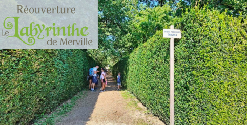 Labyrinthe de Merville // Se perdre en famille dans le plus grand labyrinthe de buis d'Europe