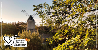Le top des activités à faire cet automne en Sud-Est Toulousain